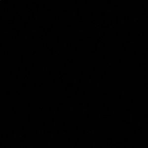 Meet your Posher, Max